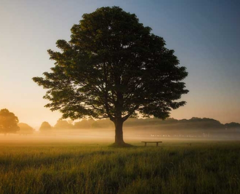 Encontrar el silencio a través de Mindfulness