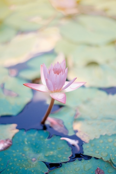 almudenadeaandres_mindfulness_1 almudenadeaandres_mindfulness_1