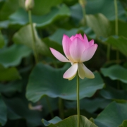 Retiro de silencio Mindfulness