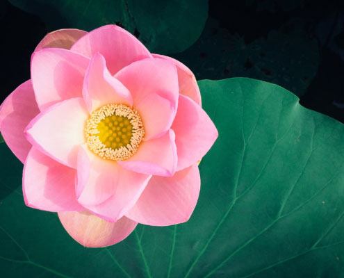 Curso de Mindfulness