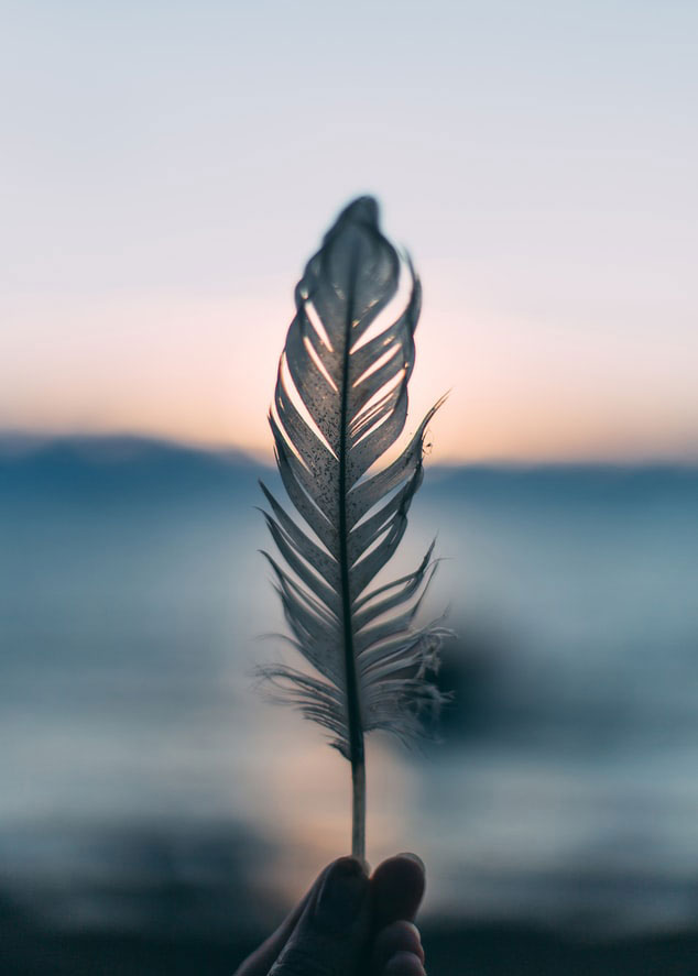 Curso de Mindfulness en la Universidad Complutense de Madrid