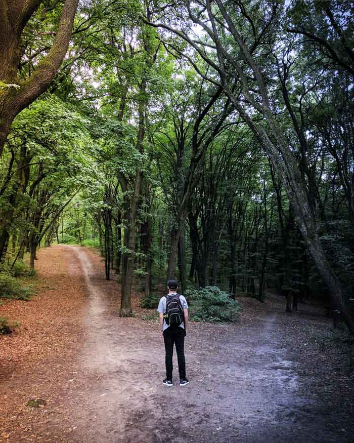 Hombre frente a dos caminos en el proceso de tomar decisiones.