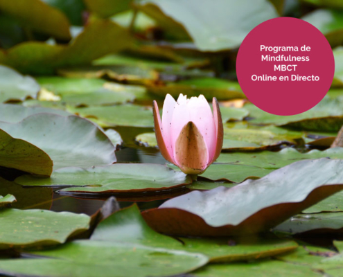 Programa de Mindfulness MBCT. Primavera de 2021.