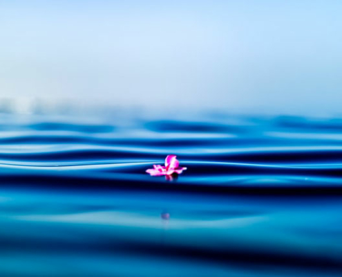 Práctica semanal de Mindfulness