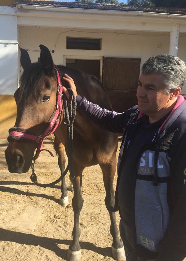 Coaching con caballos en Madrid