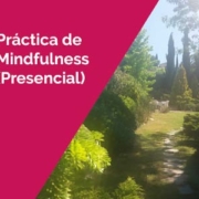 Práctica de Mindfulness en Valdemorillo. Imagen destacada