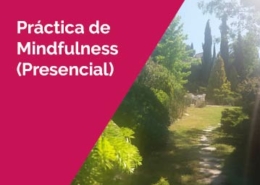 Práctica de Mindfulness en Valdemorillo. Imagen destacada