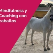 Mindfulness y Coaching con caballos en Madrid