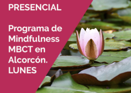 almudenadeandres mbct alcorcon - Programa de Mindfulness Alcorcón. Marzo de 2022