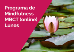 programa mbct lunes - Programa de Mindfulness MBCT. ONLINE. 4 de Octubre 2021