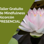 taller gratuito de Mindfulness. Alcorcón