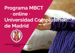 programa mbct online universidad
